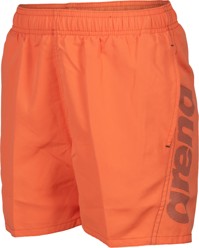 Arena Fundementals Logo Boxer, badeshorts, junior NESPOLA-ASPHALT