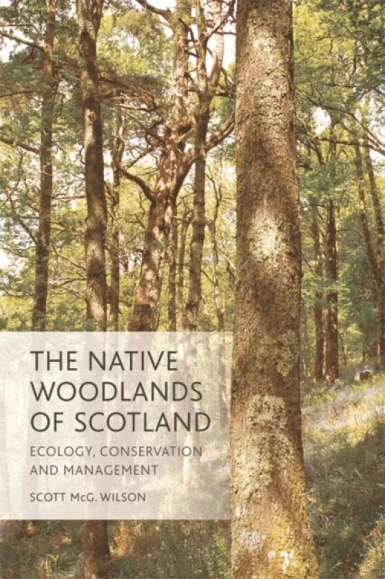 The Native Woodlands of Scotland av Scott Wilson