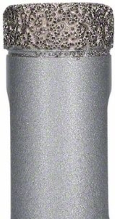 Bosch Accessories Bosch 2608599028 Diamanttørbor 1 Stk. 16 Mm 1 Stk