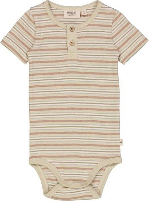 Body Placket Ss Dusty Stripe