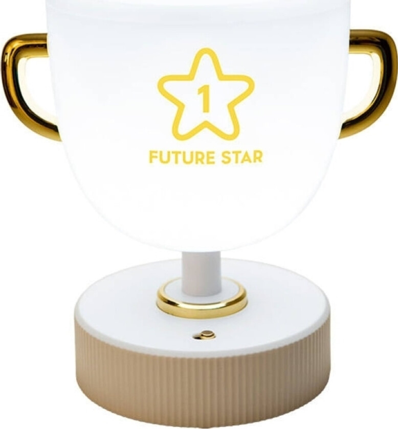 W-006 Champion Light Nattlampe For Barn