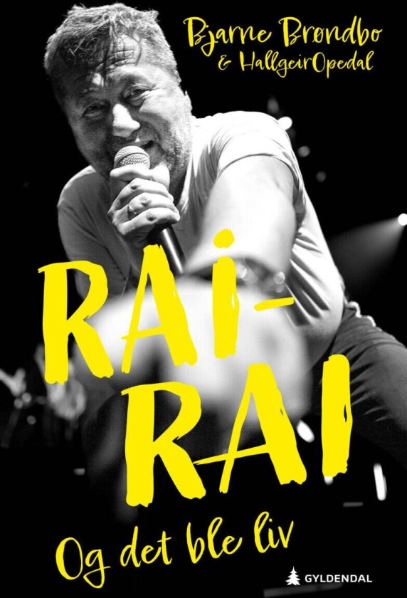 Rai-rai av Bjarne Brøndbo, Hallgeir Opedal