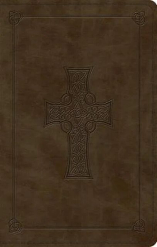ESV Large Print Value Thinline Bible