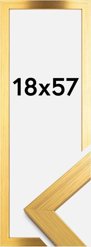 Ramme Gold Wood 18x57 Cm