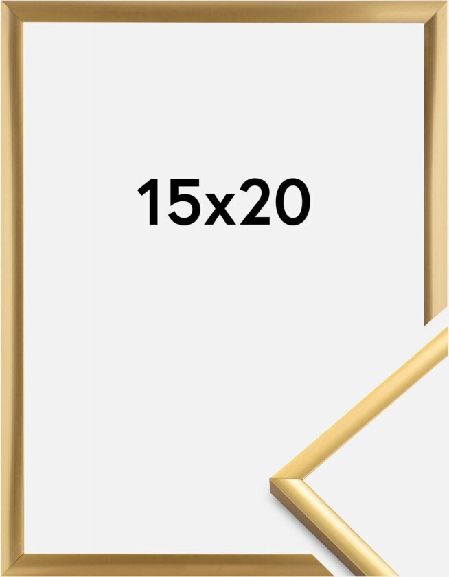 Ramme New Lifestyle Akrylglass Shiny Gold 15x20 Cm