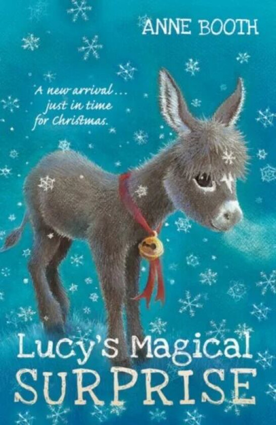 Lucy's Magical Surprise av Anne Booth