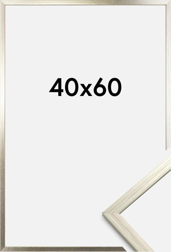 Ramme Edsbyn Akrylglass Sølv 40x60 Cm