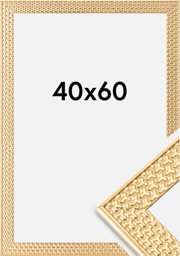 Ramme Grace Akrylglass Gull 40x60 Cm