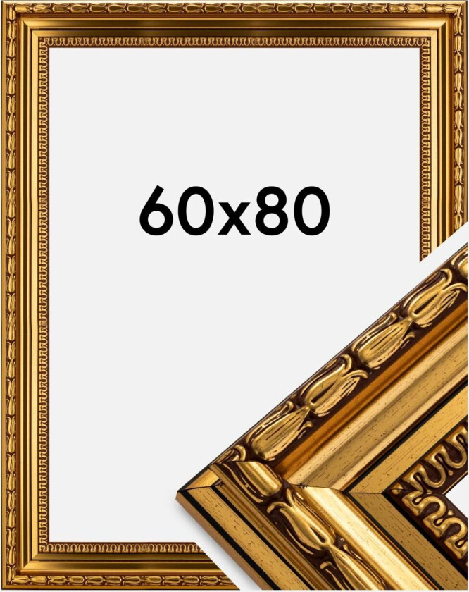 Ramme Birka Premium Gull 60x80 Cm