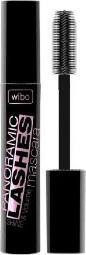 Panoramic Lashes Mascara Black 11G