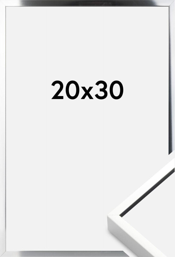 Ramme  Premium Alpha Blank Sølv 20x30 Cm