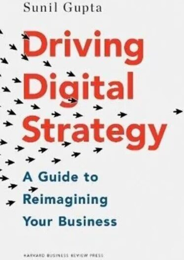 Driving Digital Strategy av Sunil Gupta