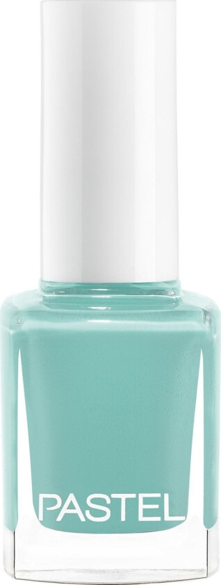 Nail Polish No. 313 13Ml