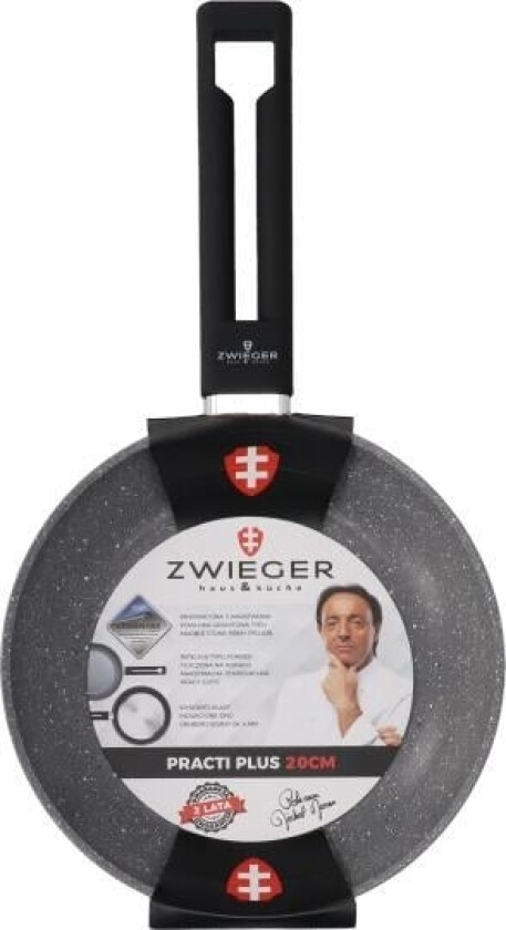 Frying Pan Zwieger Practi Plus 20Cm