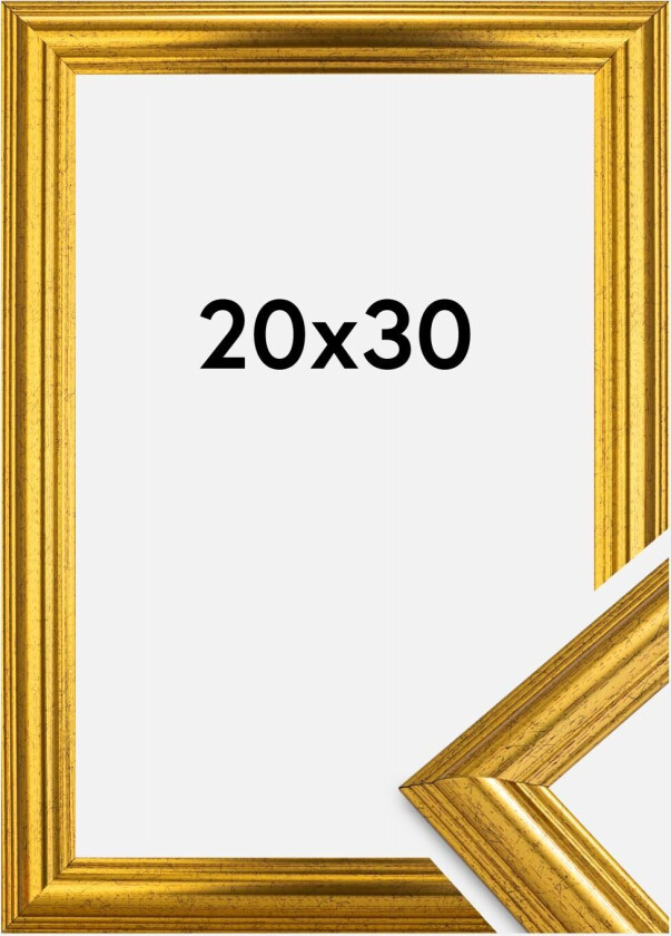 Ramme Västkusten Gull 20x30 Cm