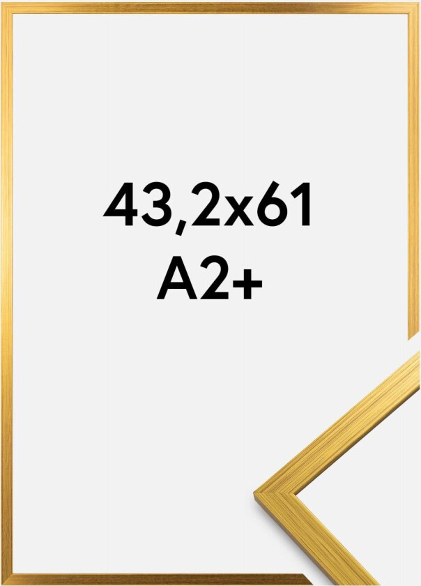 Ramme Edsbyn Gull 43,2x61 Cm (A2+)
