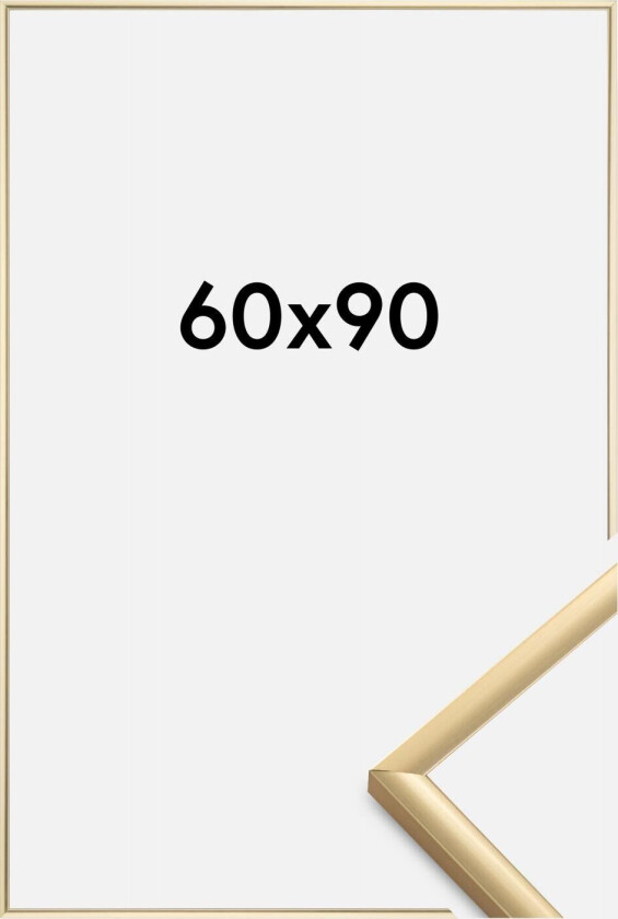 Ramme New Lifestyle Akrylglass Gull 60x90 Cm