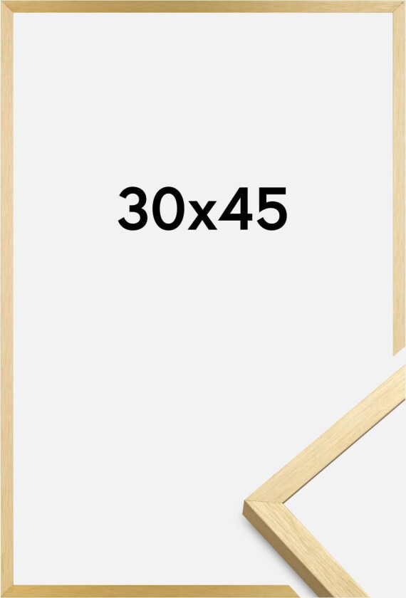 Ramme Chair Gull 30x45 Cm