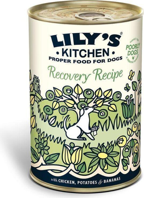 Recovery Recipe Våtfôr til hund 400 g