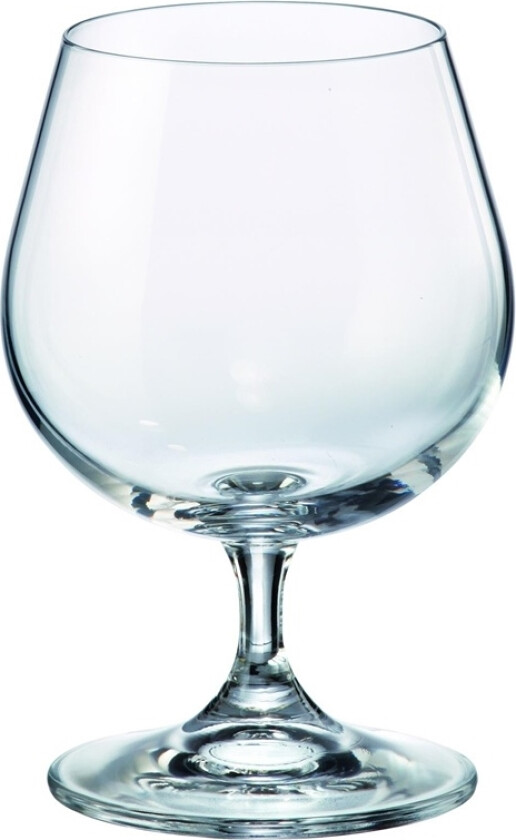 Brandyglass Bohemia Royal Crystal 2For2, 440 Ml, 2 Stk.