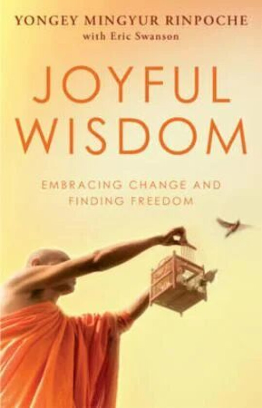 Joyful Wisdom av Yongey Mingyur Rinpoche
