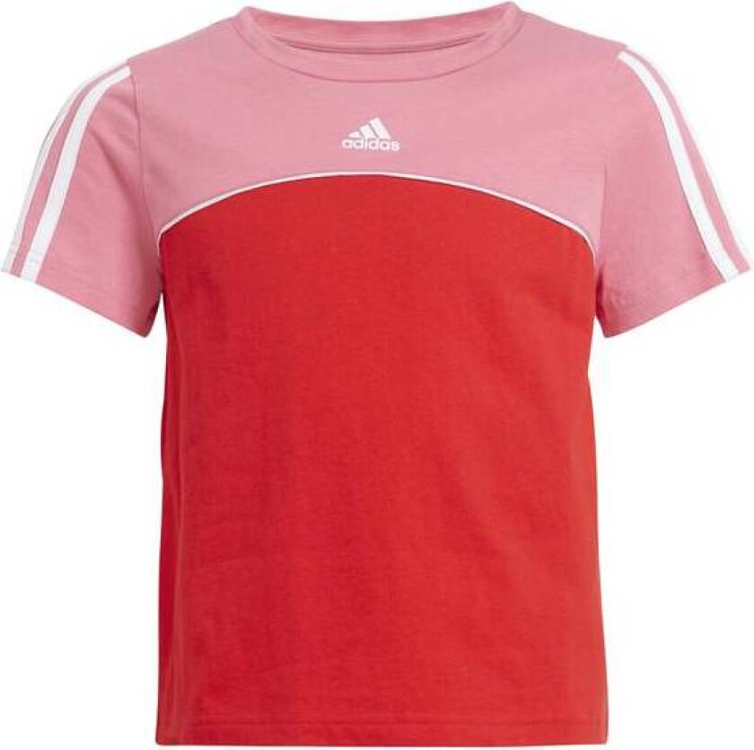 Girl Color Block T-skjorte Rosa/Rød