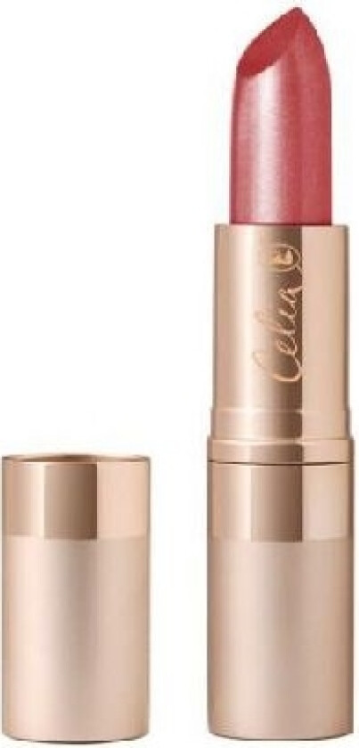 2 In 1 Moisturizing Lipstick-Lip Gloss 509