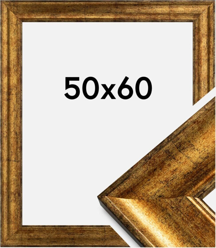 Ramme Saltsjöbaden Gull 50x60 Cm