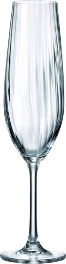 Champagneglass Bohemia Royal Crystal Sarah, 260 Ml, 6 Stk.