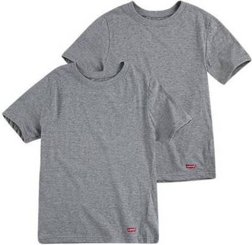 2Pk Crew Neck Tee Grå
