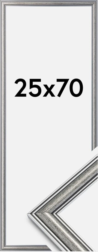 Ramme Frigg Sølv 25x70 Cm