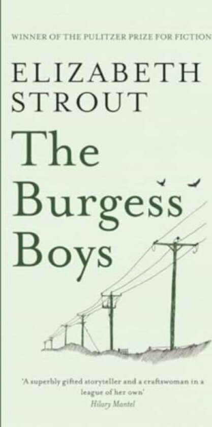 The Burgess Boys av Elizabeth Strout