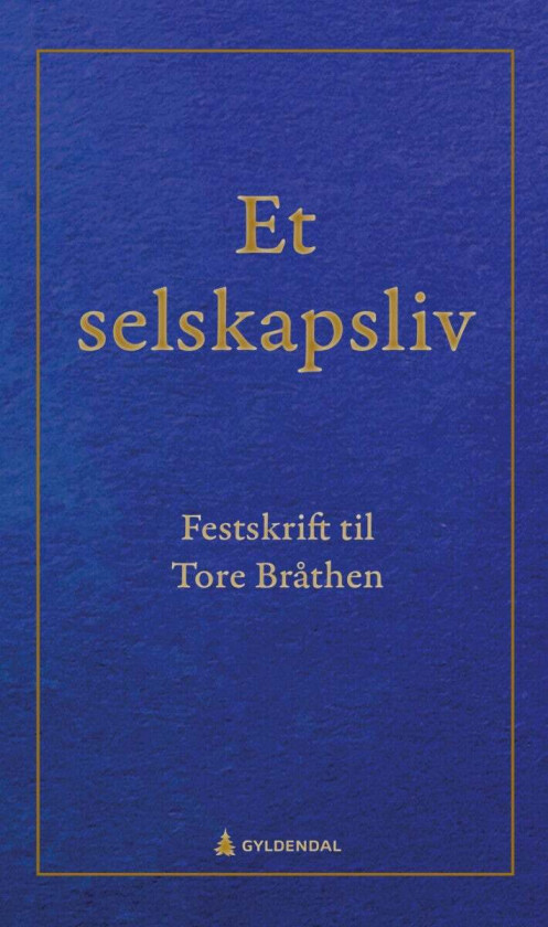 Bilde av Et selskapsliv av Kari Birkeland, Gina Bråthen, Monica Viken