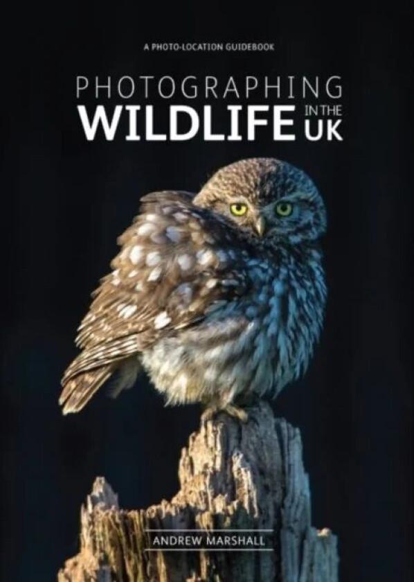 Photographing Wildlife in the UK av Andrew Marshall