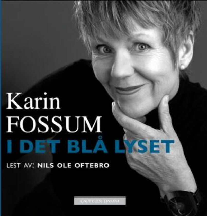 I det blå lyset av Karin Fossum