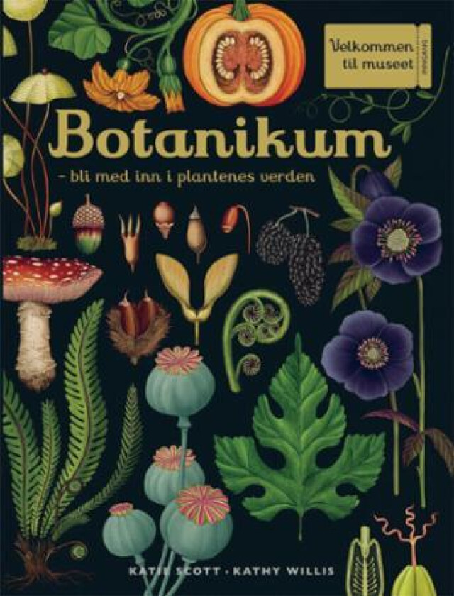 Botanikum av Kathy J. Willis