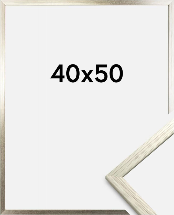 Ramme Edsbyn Akrylglass Sølv 40x50 Cm