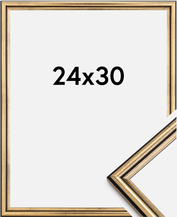 Ramme Horndal Akrylglass Gull 24x30 Cm