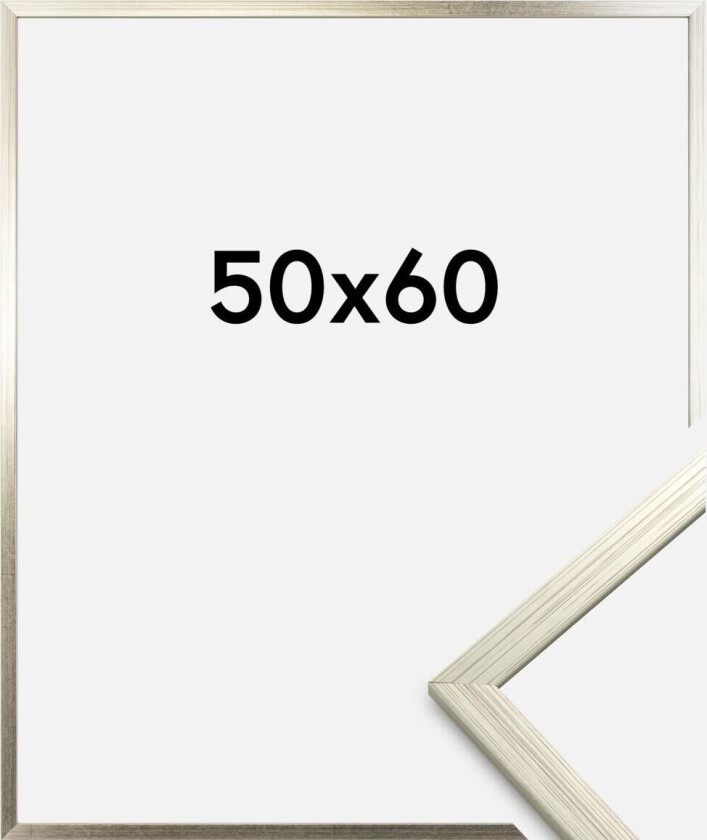 Ramme Edsbyn Akrylglass Sølv 50x60 Cm