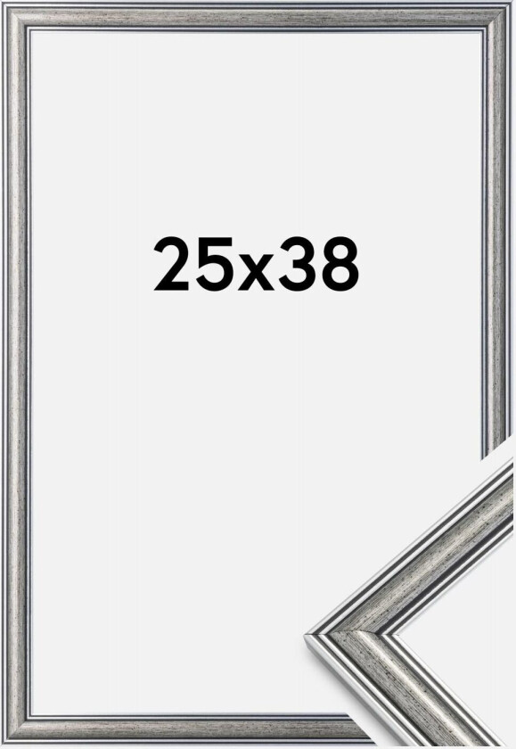 Ramme Frigg Sølv 25x38 Cm