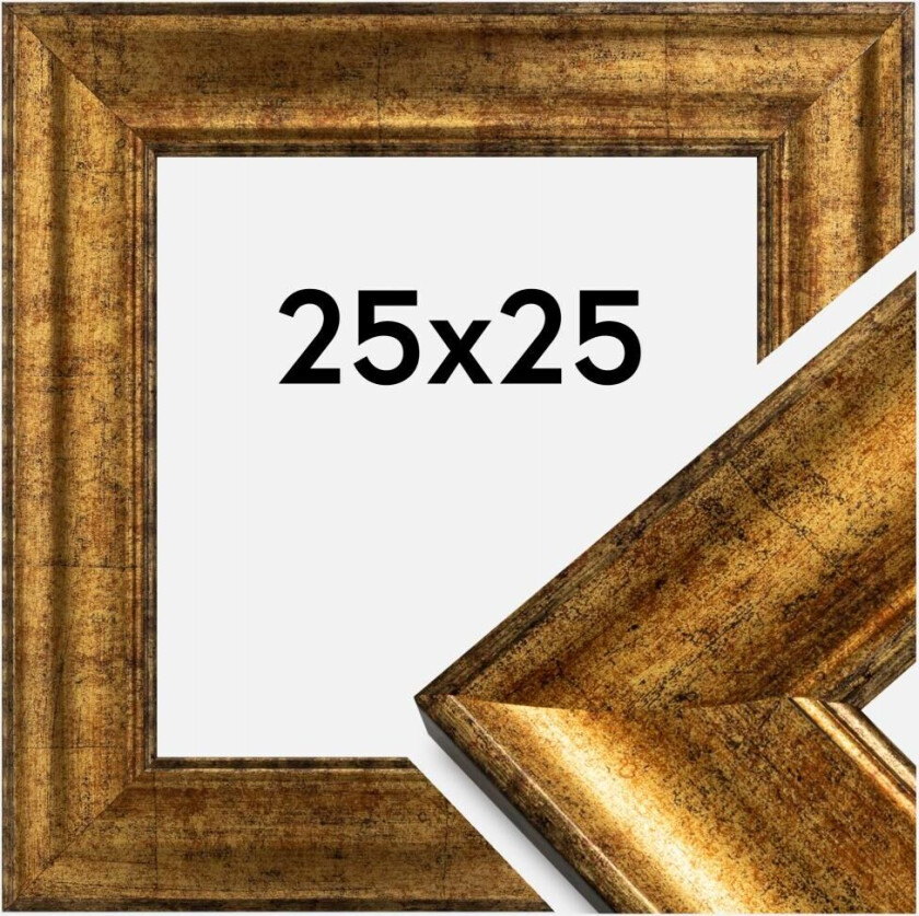 Ramme Saltsjöbaden Akrylglass Gull 25x25 Cm