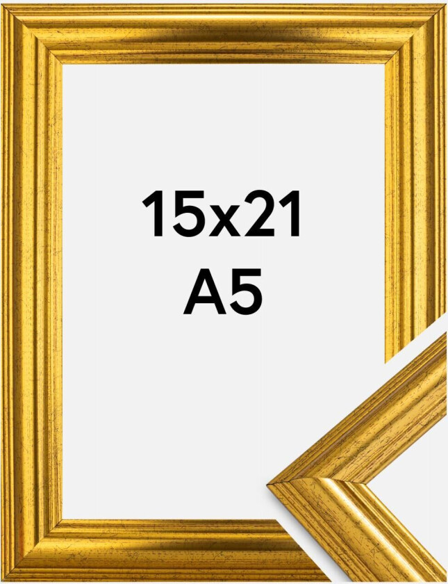 Ramme Västkusten Akrylglass Gull 15x21 Cm (A5)