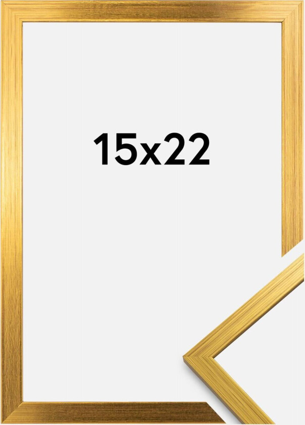 Ramme Edsbyn Gull 15x22 Cm