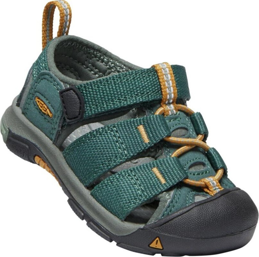 Newport H2 Sandals Toddler Green Gables/Wood Thrush