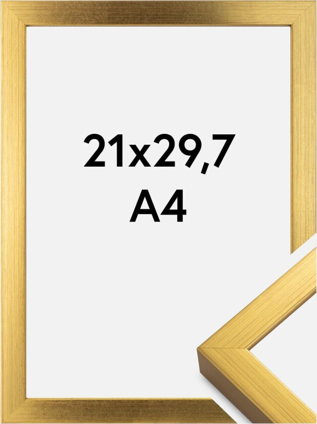 Ramme Falun Gull 21x29,7 Cm (A4)