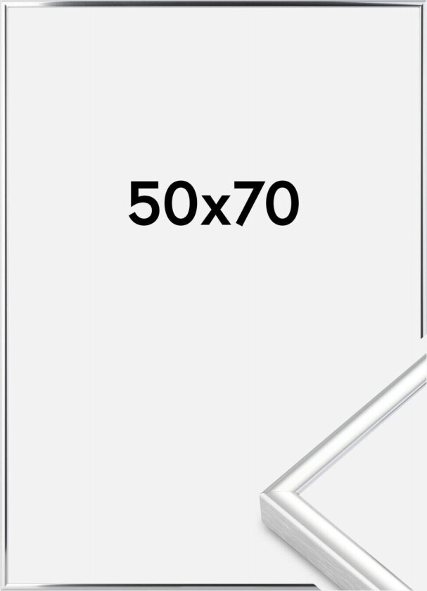 Ramme  Premium Classic Sølv 50x70 Cm