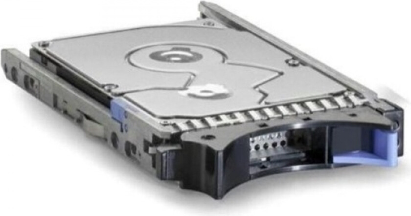 Gen3 - Harddisk - 500 Gb - Hot-Swap - 2.5" Sff - Sas 6Gb/S - Nearline - 7200 Rpm - For Flex System X240 M5 (2.5")  System X3850 X6 (2.5")  X39