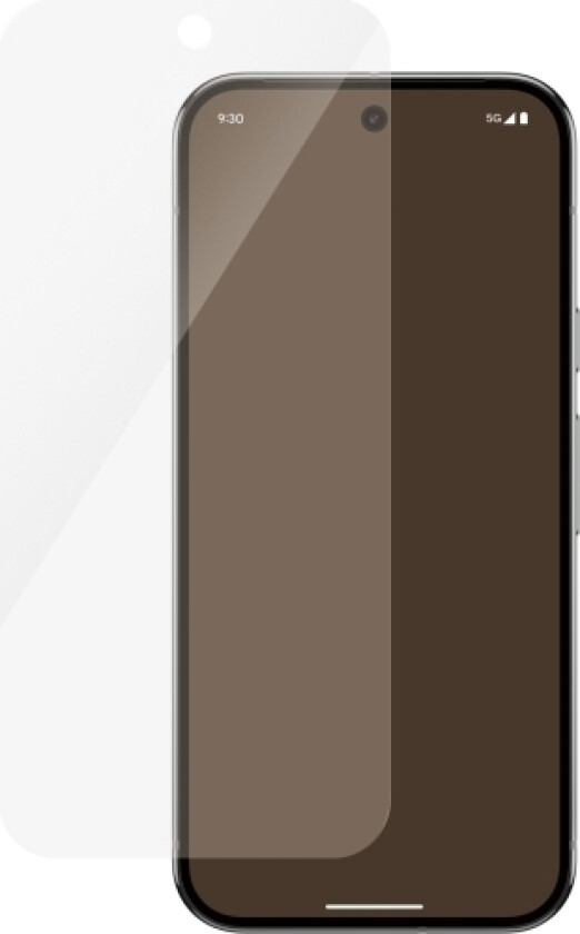Panzerglass 4787, Google, Google - Pixel 9 Pro, Google - Pixel 9, Torr Applicering, Reptålig, Stöttålig, Transparent, 1 Styck
