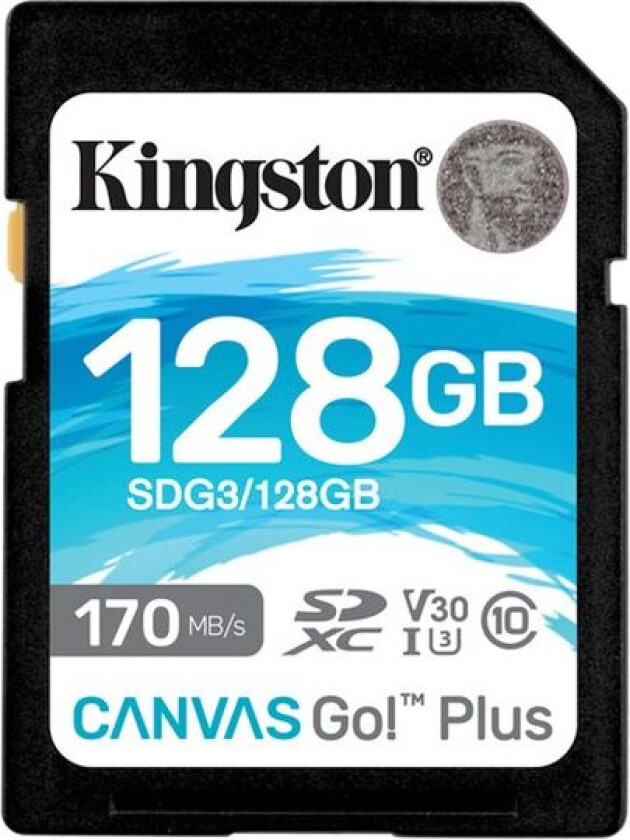Kingston Canvas Go! Plus - Flashminnekort - 128 Gb - Video Class V30 / Uhs-I U3 / Class10 - Sdxc Uhs-I
