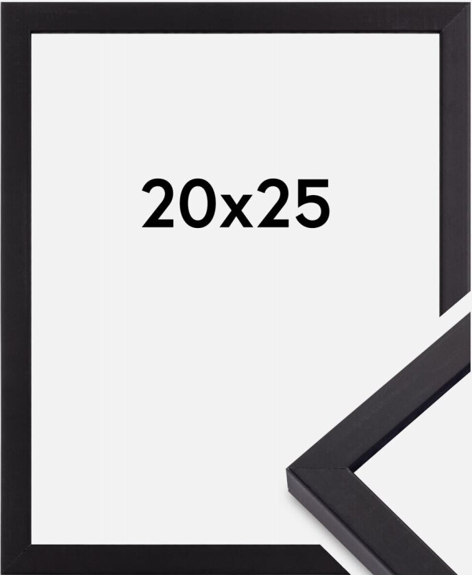 Ramme Torrance Matt Antirefleksglass Svart 20x25 Cm